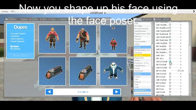 Saness Tutorial