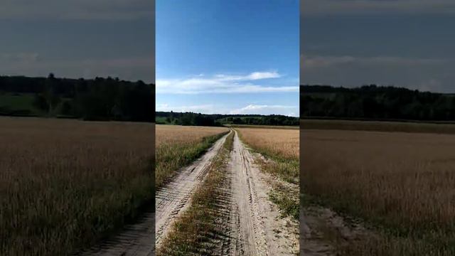 Поездка через брянскую и Орловскую область