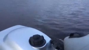 Honda BF 2,3 запуск