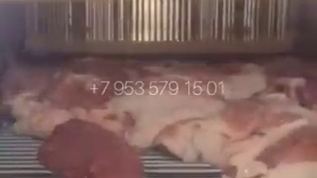 Свинина шприцевание при помощи инъектора для мяса смотреть онлайн