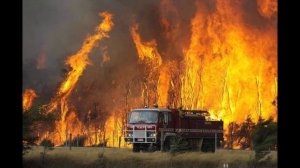 брандмайор 1