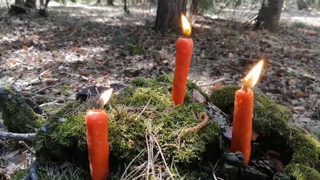 Свечи "роза, кедр и яблоневый цвет"