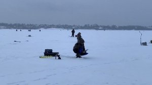 Искали плотву, а нашли судака и леща. Старчиха. Рыбалка в Кстово.