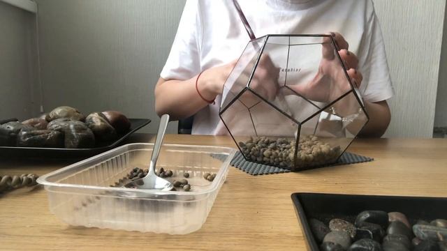 Как Сделать Флорариум Своими Руками | Мини-сад из Суккулентов