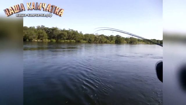 Природа Камчатки смотреть онлайн