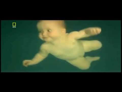 песня и видеоподборка -  на СЛОВА Юрия Степановича РЫБНИКОВА