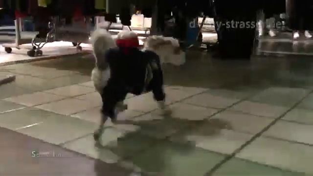 Экстремальный спорт.flv смотреть онлайн