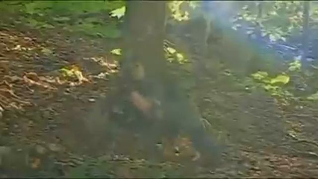 Моя граница - финальная песня смотреть онлайн