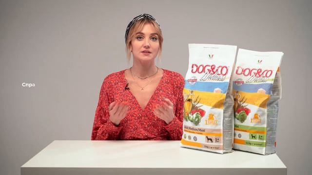Сухой корм для собак Wellness Dog&Co / Саша знает / Обзор смотреть онлайн