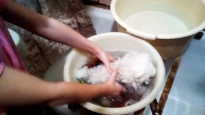 Как купать котят первый раз! Купаю котёнка Мурренка!