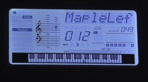 12-Maple Lef YAMAHA psr E463