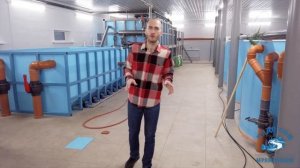 Разведение и продажа клариевого (мраморного) сома в Самаре