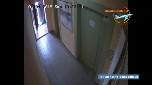 Подпёр мусором дверь в подъезде на Текстильщиков 31 смотреть онлайн