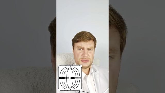 Определим вместе: Метафаза митоза или Метафаза 1 мейоза