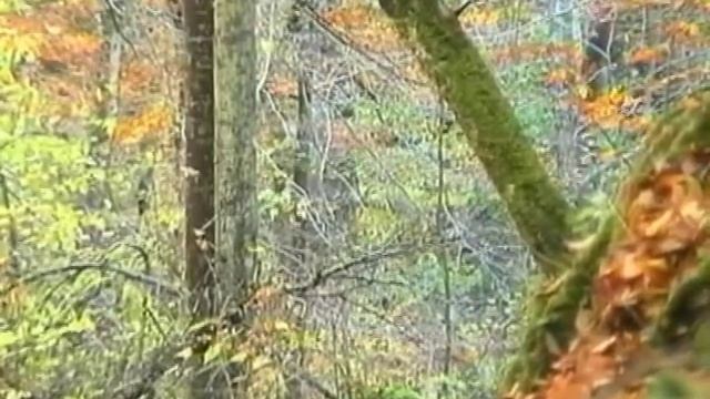 В золотую пору. Руфабго смотреть онлайн