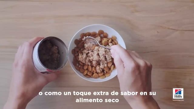 Alimentos húmedos y 3 formas de combinarlos смотреть онлайн