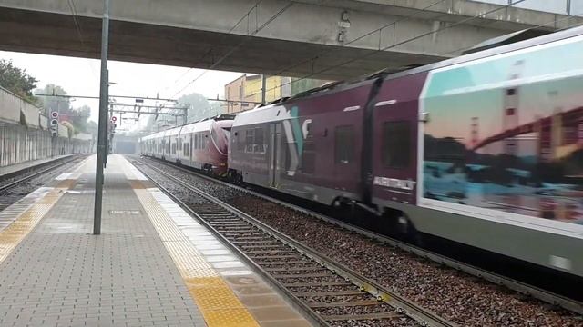 Malpensa expres MILANO C.LE MALPENSA TERMINAL 2 смотреть онлайн