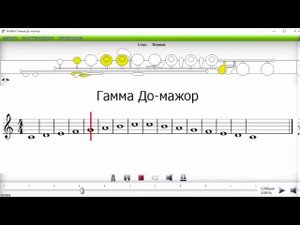 гамма до мажор поперечная флейта