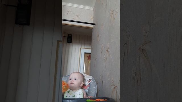 Мишаня пробует рыбу ? #прикорм #вводимрыбу #питаниемалыша #кушает
