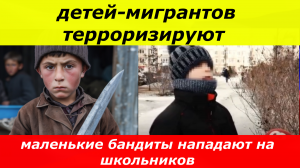 В Красноярске банда детей-мигрантов терроризирует детей более младшего возраста. Видео.