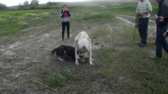 DSC_4596 online-video-cutter.com