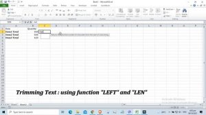 Excel Tips :  Subtotal, Visible Cell Only and Trimming Text