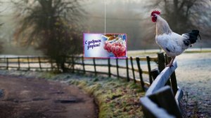 Открытка Доброе утро!