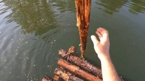 НА ПЛОТУ ПО ДИКОЙ РЕКЕ / СДЕЛАЛ ПЛОТ В ОДИНОЧКУ