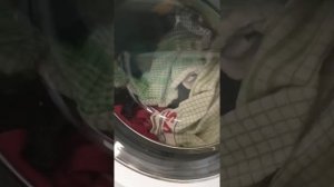Beko wmb81241 washing machine: mixed fabrics 40 with prewash