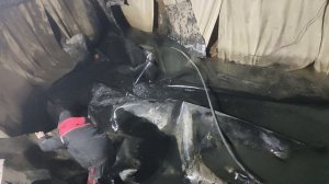 Грязная работёнка в пруду