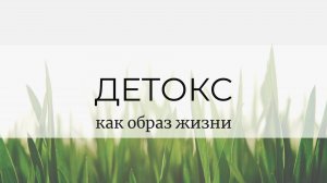 Детокс с точки зрения Аюрведы