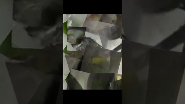 Река. Лес. Пение птиц и шум воды