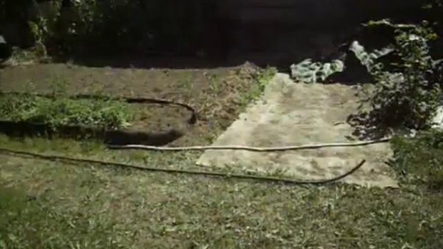 Как хранить поливочные шланги? Идеи для сада и огорода смотреть онлайн