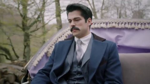 Белая лебедь моя