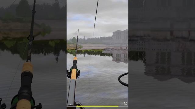 Трофейный лосось ладожский на р.Волхов / Russian fishing 4 / #рр4