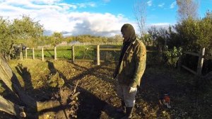 Удаление корня большой яблони