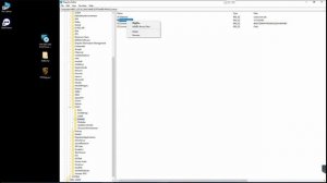 Installation PIWIS 3 win 10 41.600+38.250developer+coding+flash
