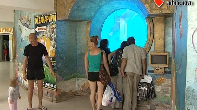 17.07.12 - В Харькове родился дельфиненок смотреть онлайн