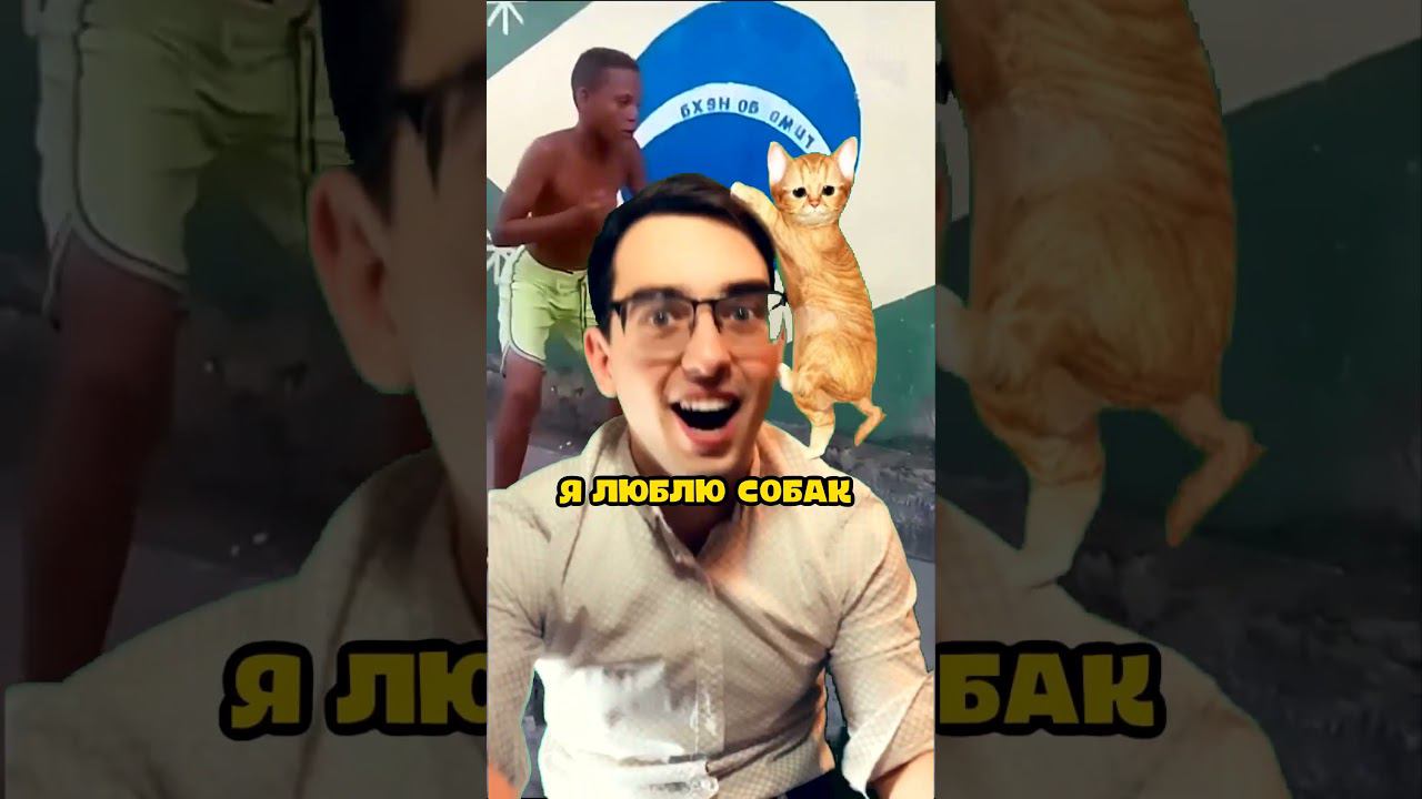 Я люблю собак #shorts #приколы #собака смотреть онлайн