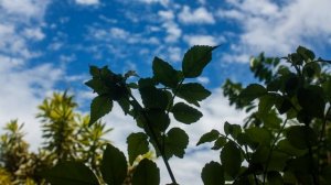 Canon 50D Sample Images