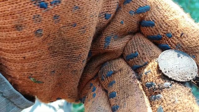 Что можно найти в лесу. Бессарабия.What can be found in the forest смотреть онлайн