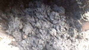 Биогаз! Что внутри бочки , реактора ?