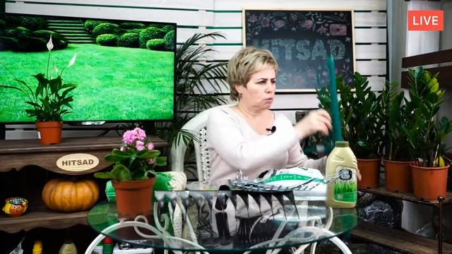 ГАЗОН ВЕСНОЙ? Основные моменты по уходу за газоном ? Обзор в прямом эфире