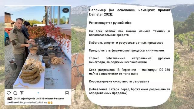 Биодинамика и биодинамические вина смотреть онлайн