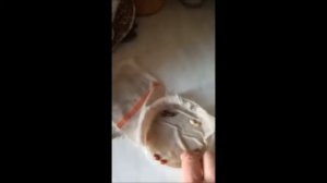 как проверить семена фасоли на всхожесть