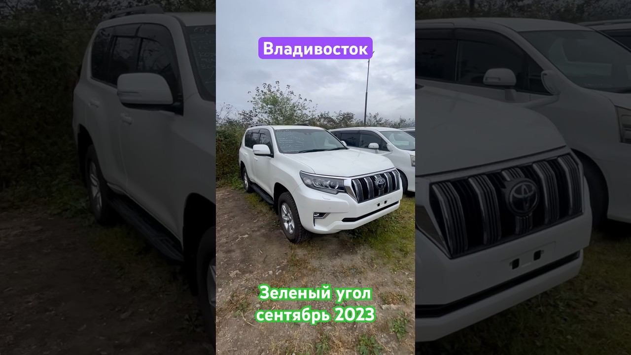 Toyota Land Cruiser Prado из Японии. Успели вывезти. Обзор цен Зеленый угол. Владивосток. смотреть онлайн