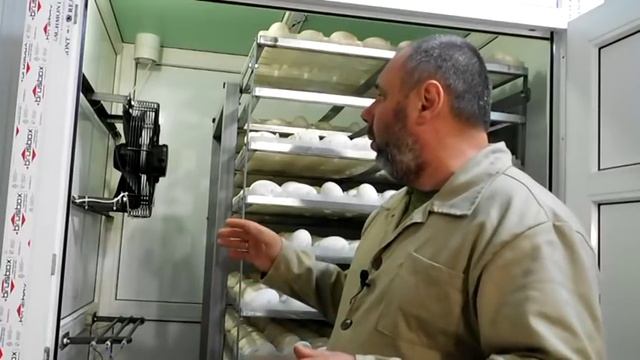 Инкубатор на 1500 гусиного яйца собственными руками смотреть онлайн