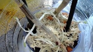 Растим деток орхидеи дендробиум berry oda.Ч1/Children grow orchids Dendrobium Berry Oda