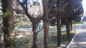 Санаторий им. А.А. Боброва а Алупке// Заселение детей// Обзор территории