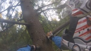 [Эндурята] Suzuki DR250 и Honda Transalp 650 на бездорожье в поисках пчёл